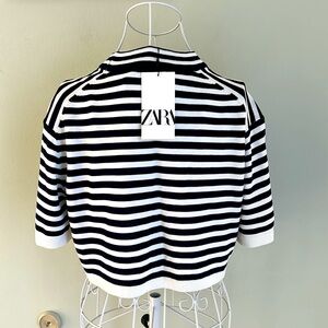Zara Blue and White Striped Crop Top